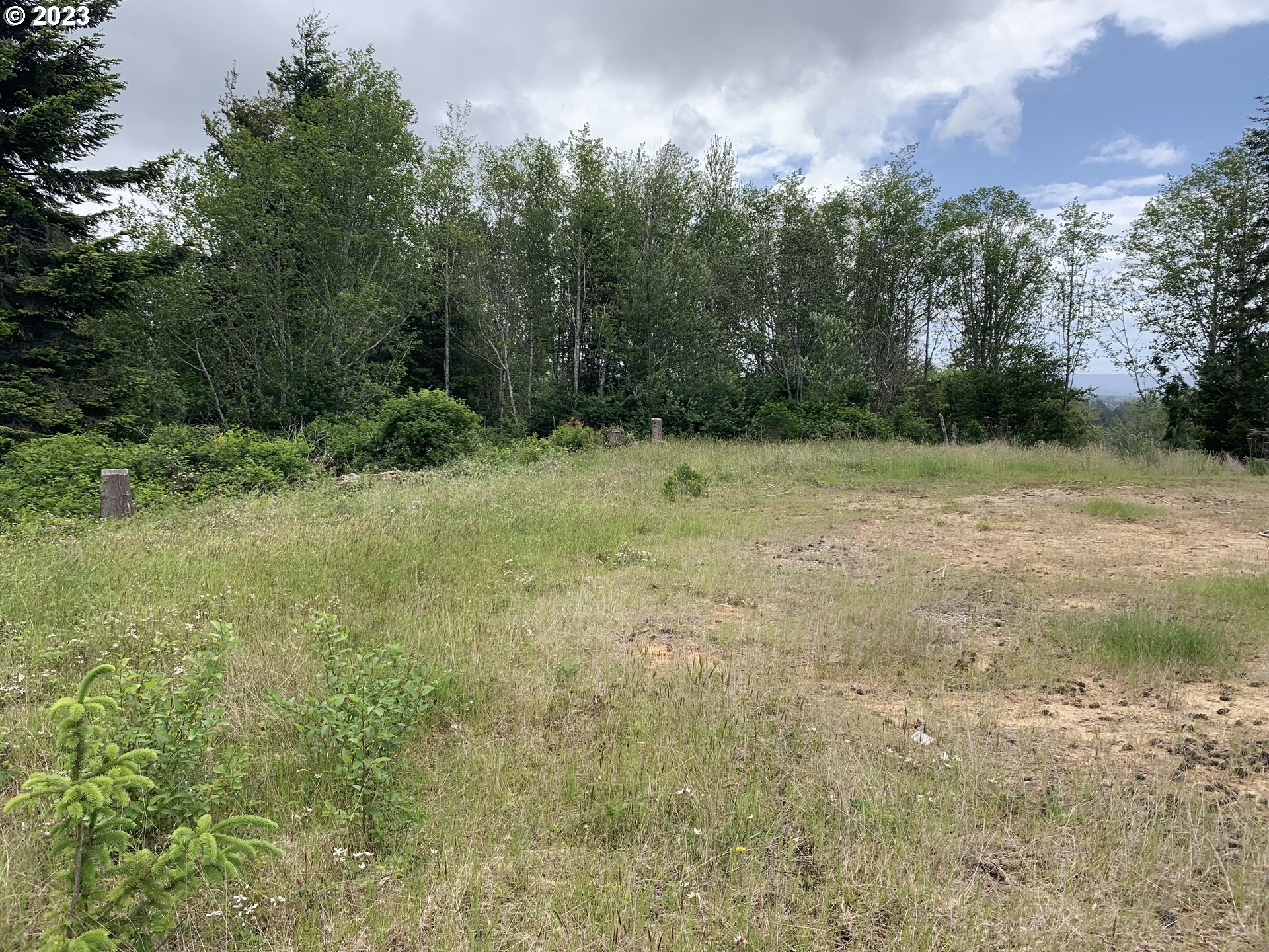 0 Fiddle Back Road North Bend, OR 97459 - Photo 5 of 19 a view of a yard with a tree
