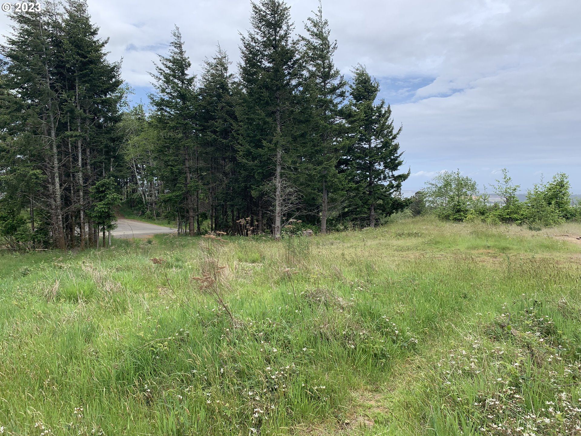 0 Fiddle Back Road North Bend, OR 97459 - Photo 6 of 19 a view of outdoor space and yard