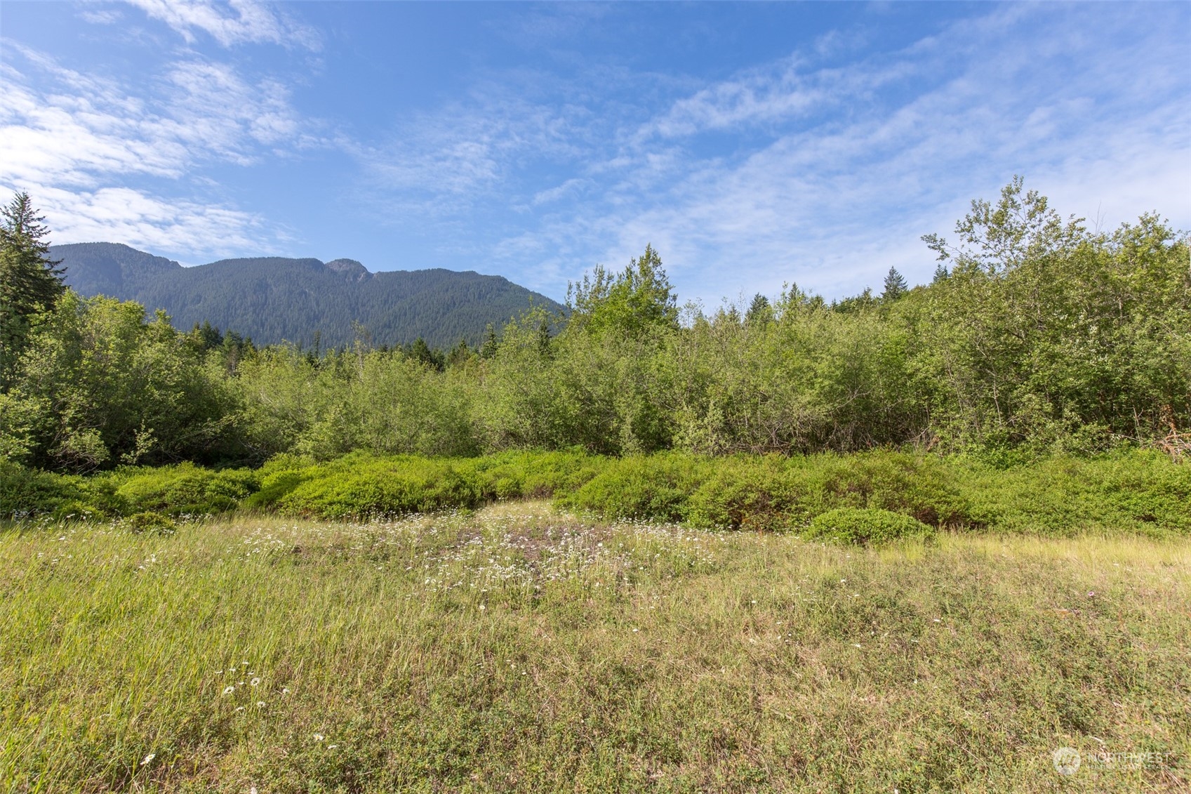 9999 Storm King Road Port Angeles, WA 98363 - Photo 11 of 40 Gallery Image 11