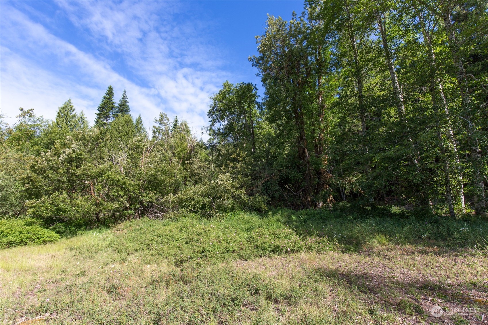9999 Storm King Road Port Angeles, WA 98363 - Photo 12 of 40 Gallery Image 12