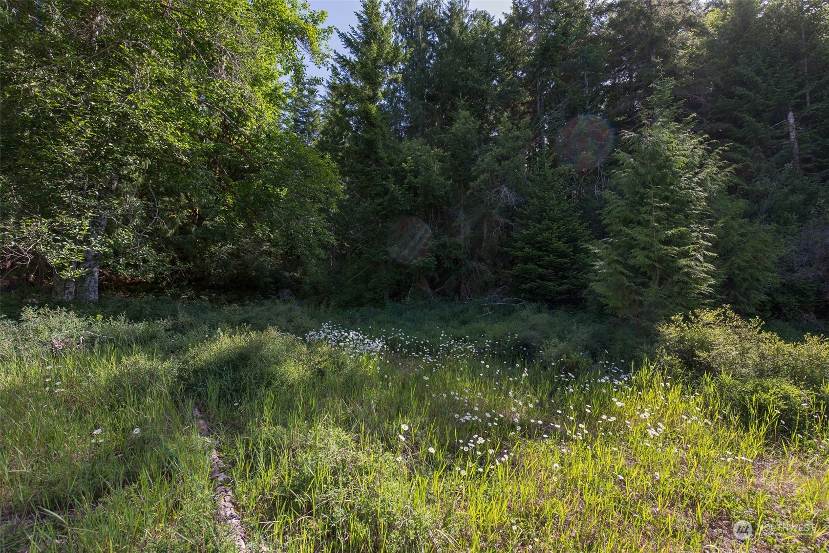 9999 Storm King Road Port Angeles, WA 98363 - Photo 13 of 40 Gallery Image 13