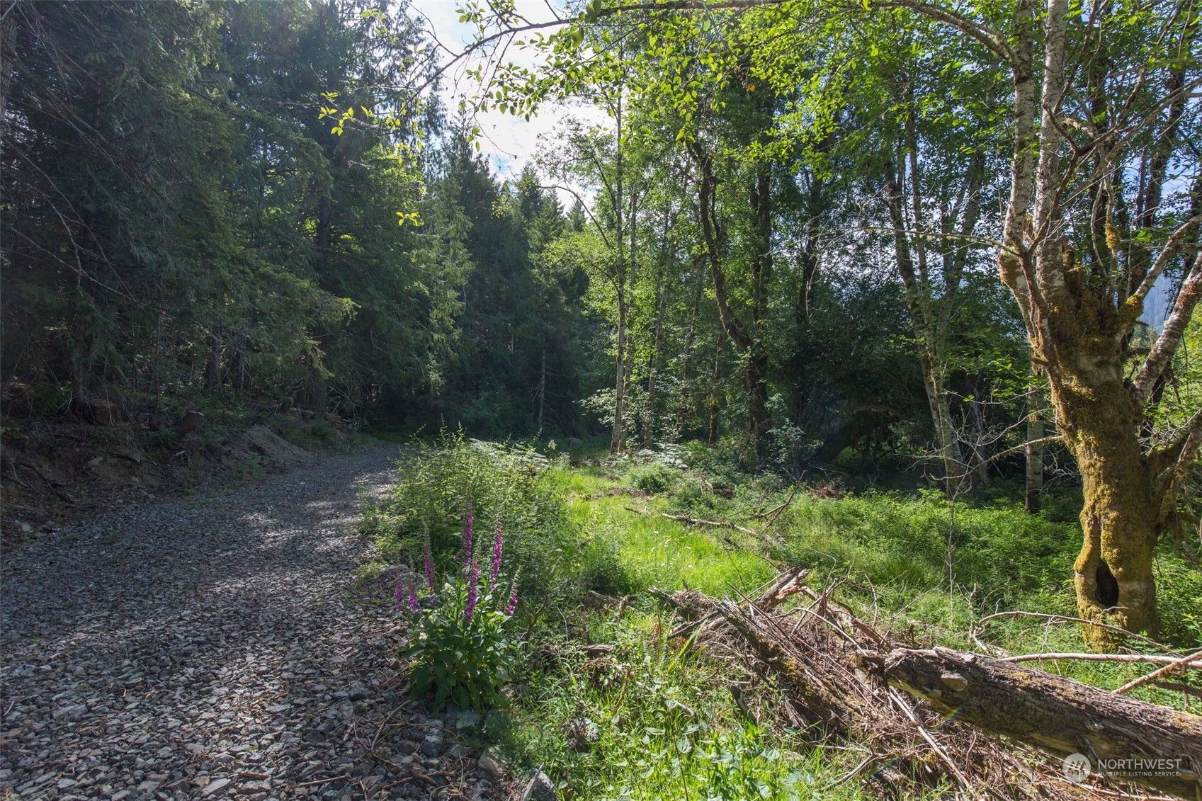 9999 Storm King Road Port Angeles, WA 98363 - Photo 15 of 40 Gallery Image 15