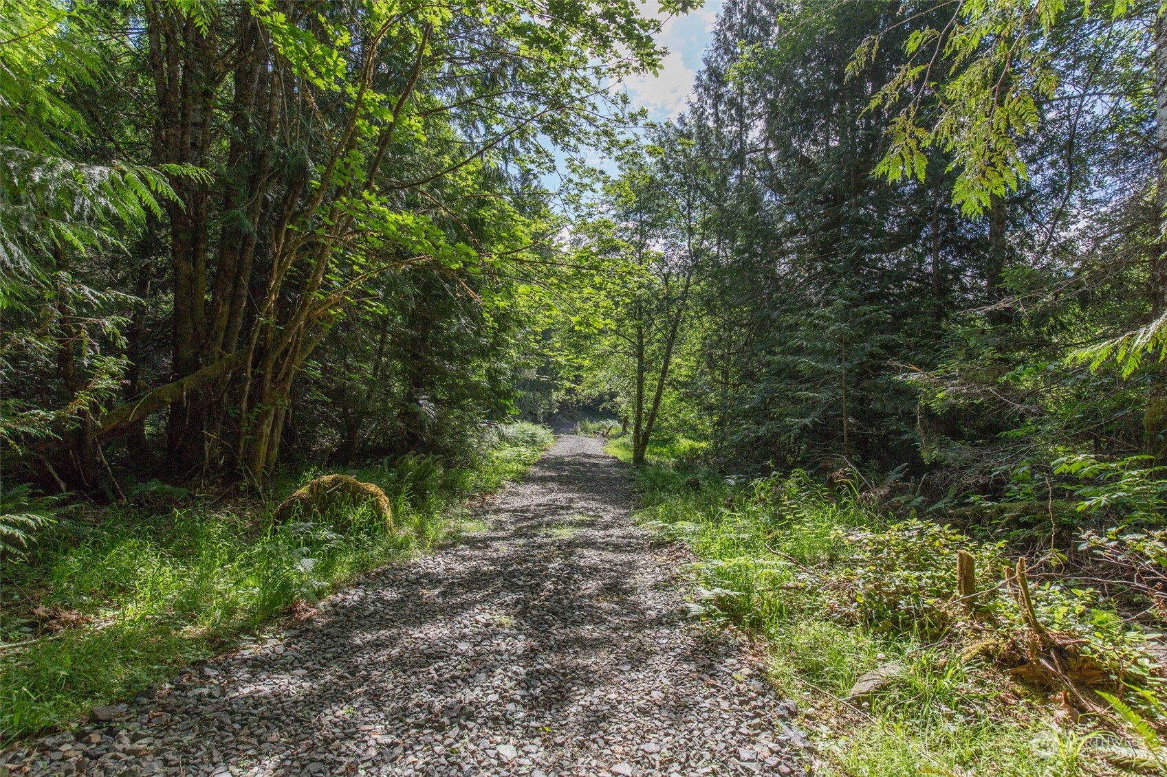 9999 Storm King Road Port Angeles, WA 98363 - Photo 16 of 40 Gallery Image 16