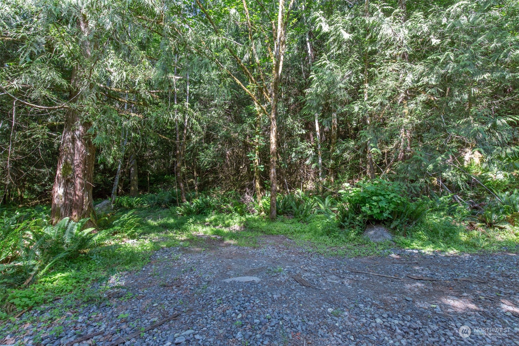 9999 Storm King Road Port Angeles, WA 98363 - Photo 17 of 40 Gallery Image 17