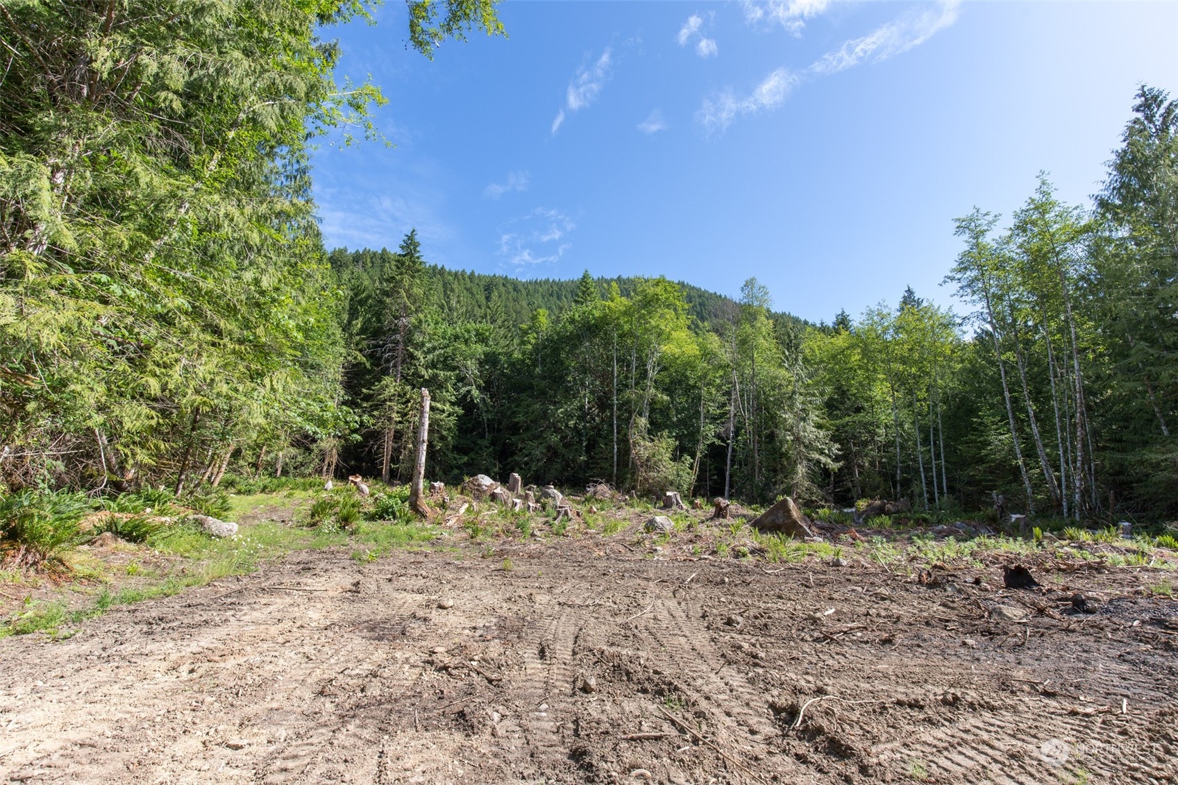 9999 Storm King Road Port Angeles, WA 98363 - Photo 19 of 40 Gallery Image 19