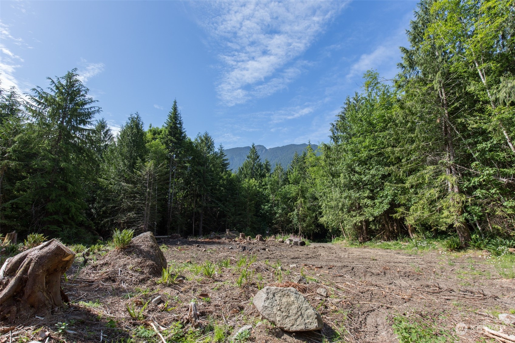 9999 Storm King Road Port Angeles, WA 98363 - Photo 20 of 40 Gallery Image 20