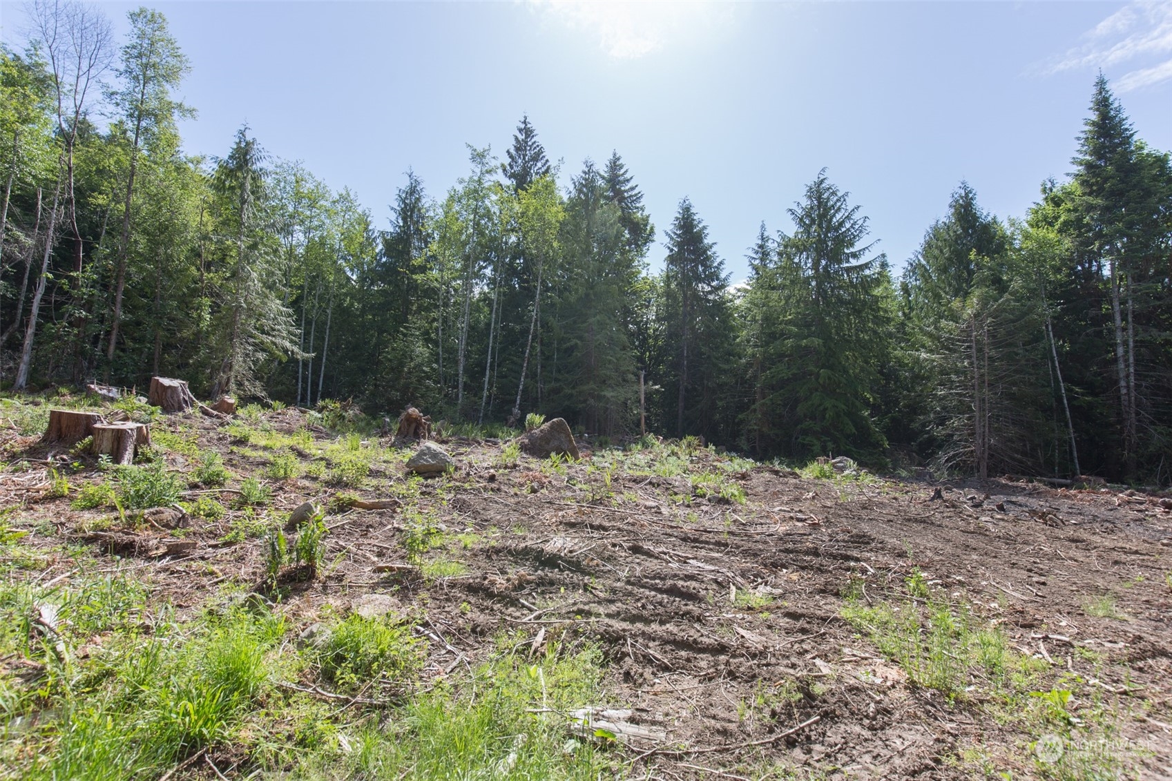 9999 Storm King Road Port Angeles, WA 98363 - Photo 21 of 40 Gallery Image 21