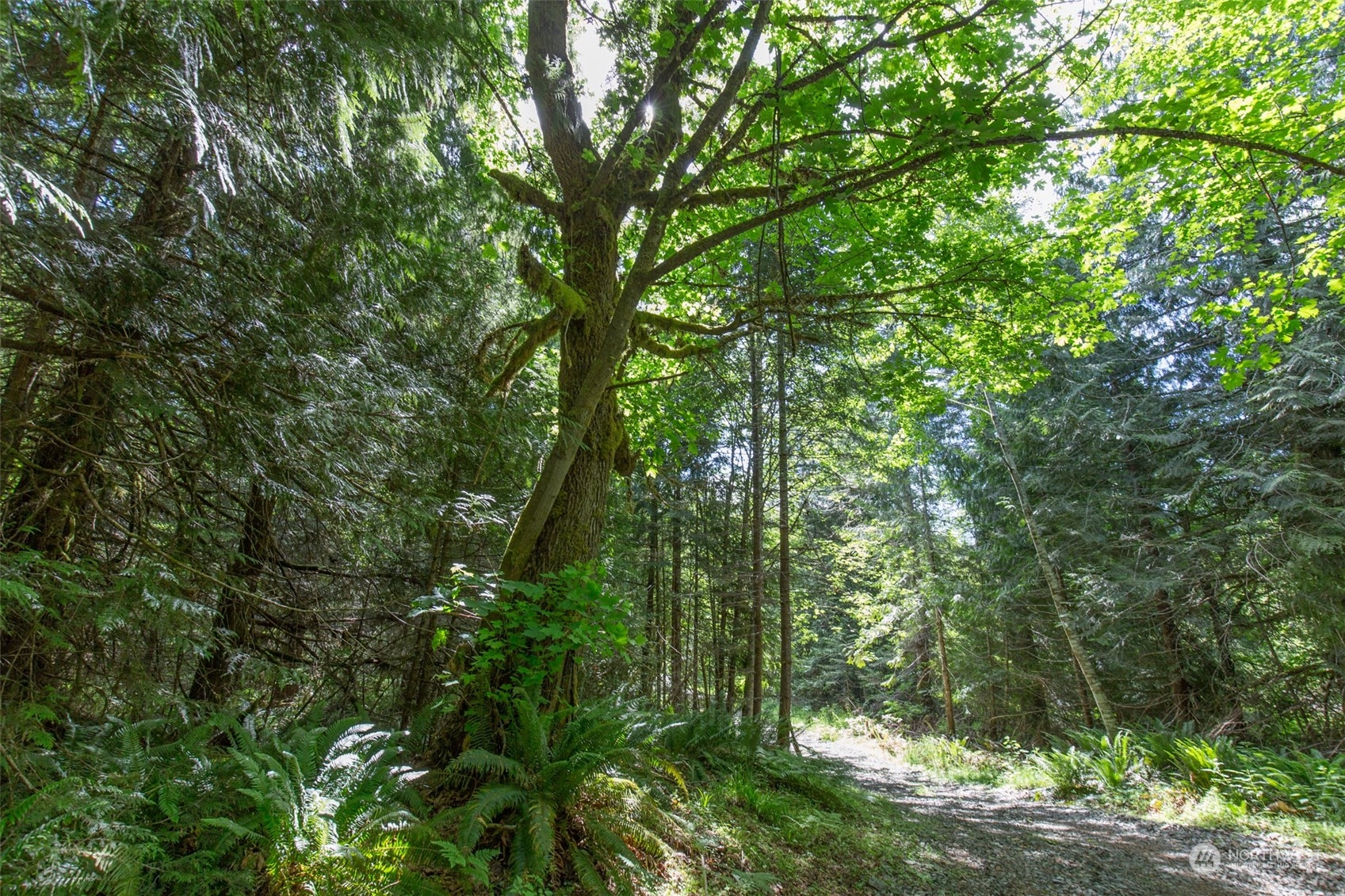 9999 Storm King Road Port Angeles, WA 98363 - Photo 23 of 40 Gallery Image 23