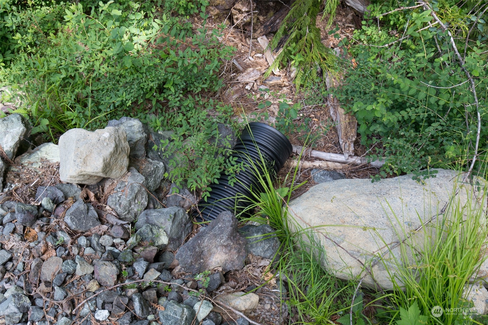 9999 Storm King Road Port Angeles, WA 98363 - Photo 25 of 40 Gallery Image 25