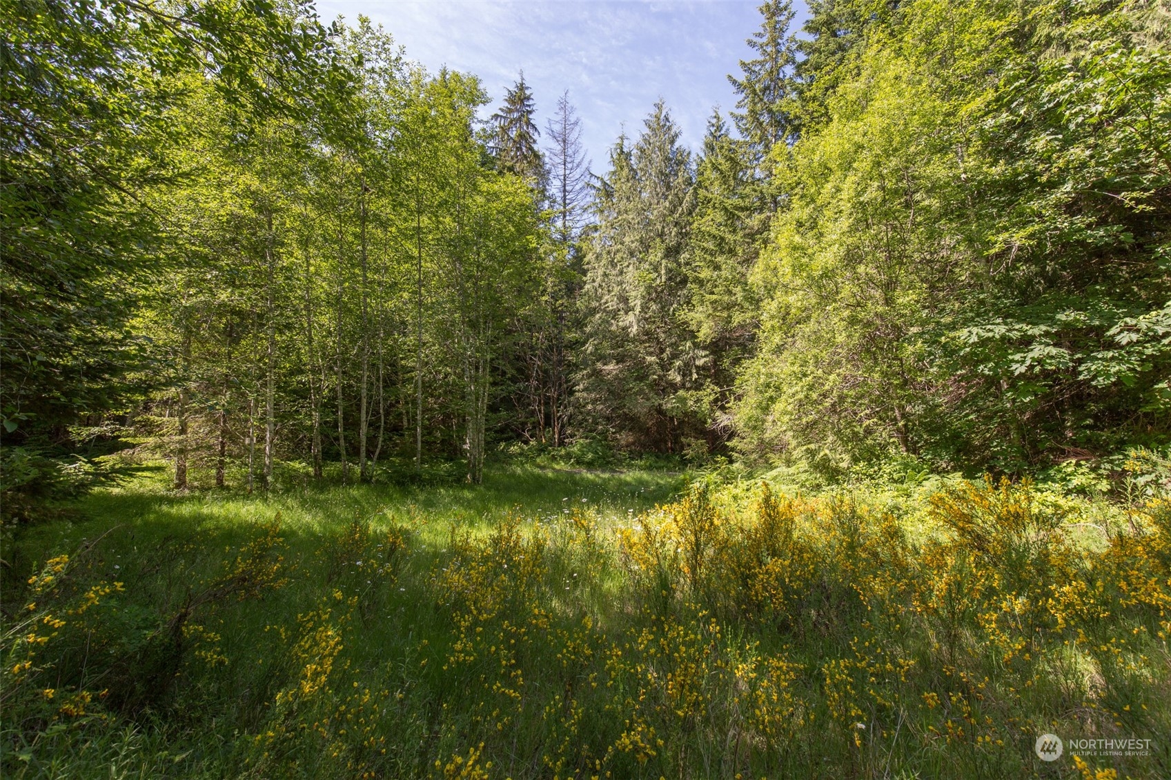 9999 Storm King Road Port Angeles, WA 98363 - Photo 26 of 40 Gallery Image 26