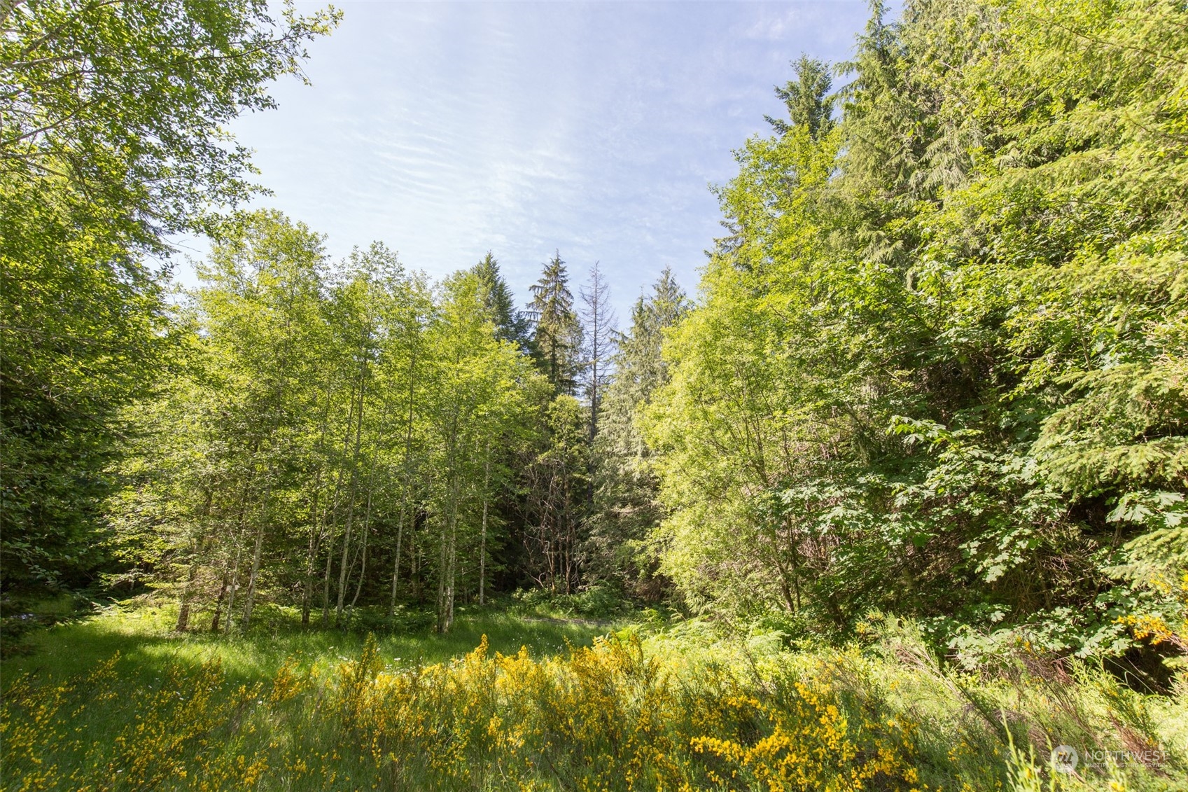 9999 Storm King Road Port Angeles, WA 98363 - Photo 27 of 40 Gallery Image 27