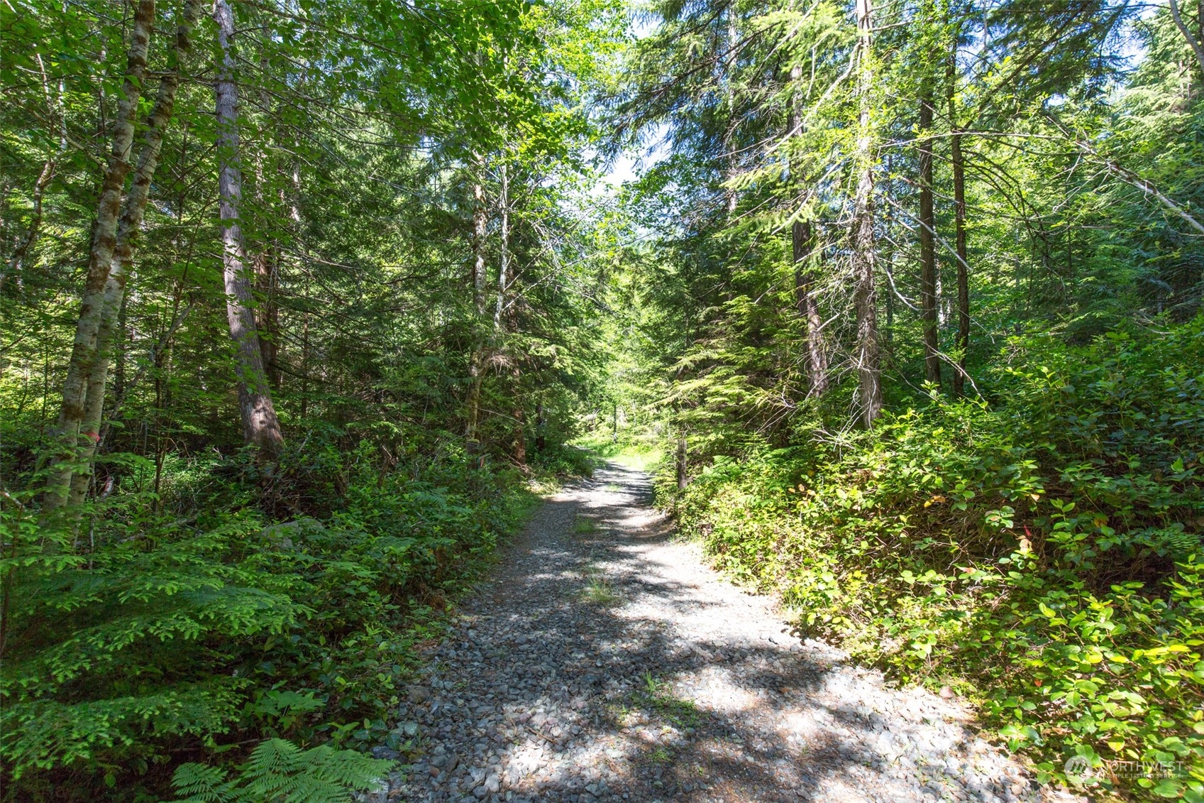 9999 Storm King Road Port Angeles, WA 98363 - Photo 28 of 40 Gallery Image 28