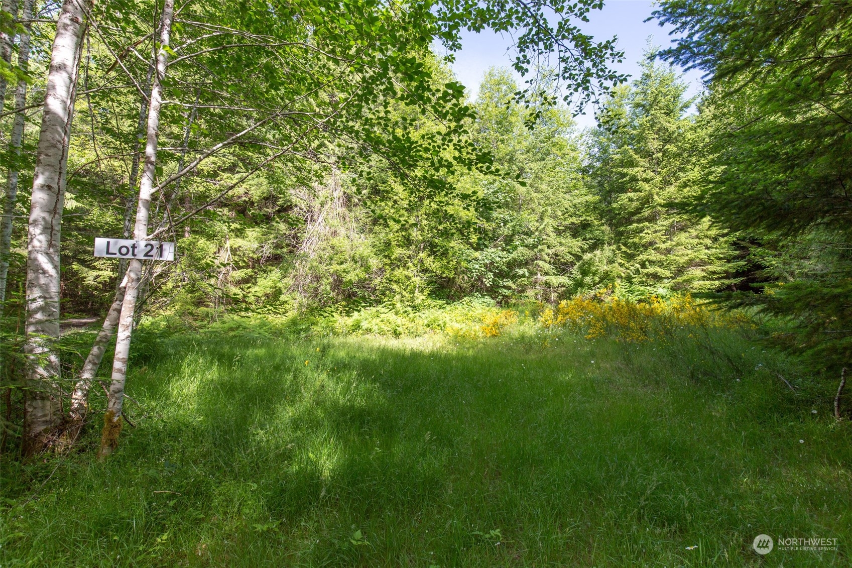 9999 Storm King Road Port Angeles, WA 98363 - Photo 3 of 40 Gallery Image 3