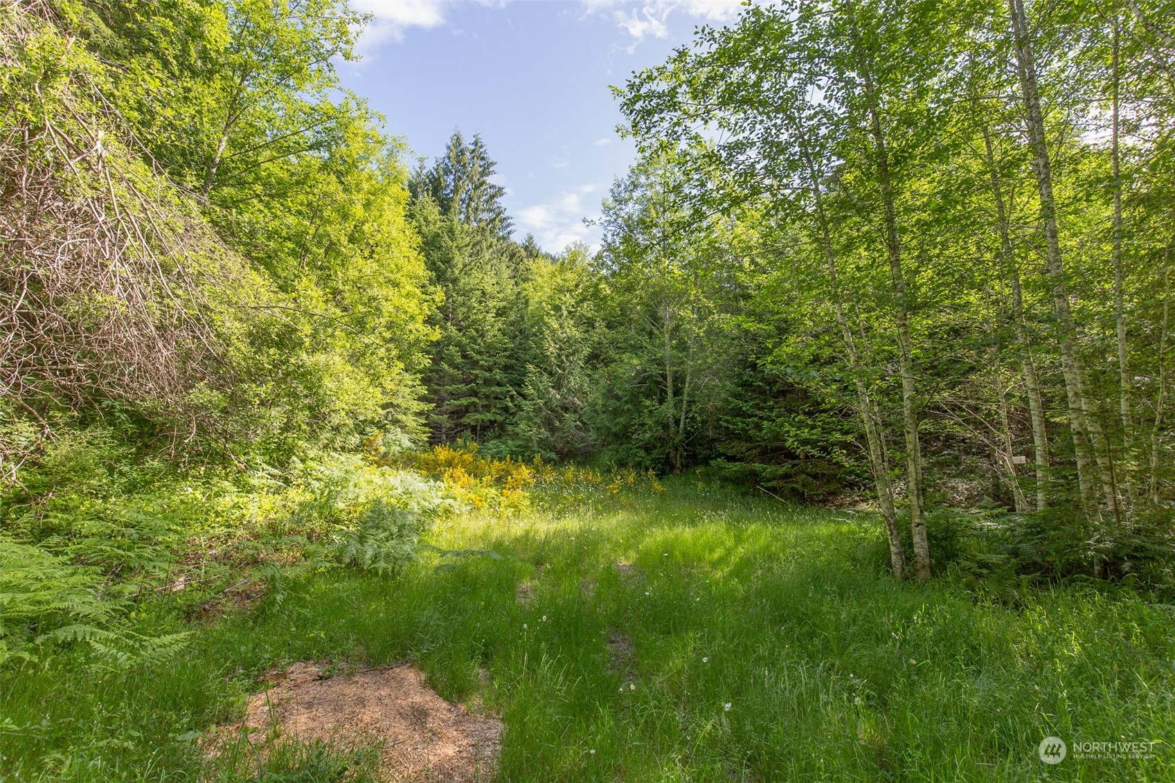 9999 Storm King Road Port Angeles, WA 98363 - Photo 4 of 40 Gallery Image 4