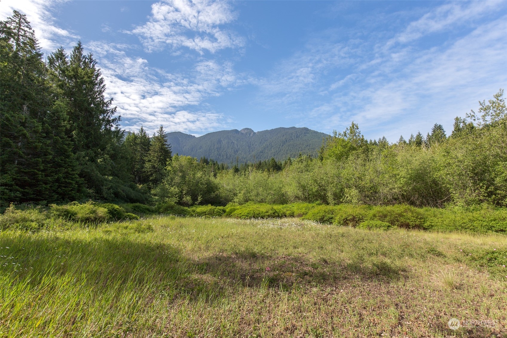 9999 Storm King Road Port Angeles, WA 98363 - Photo 10 of 40 Gallery Image 10
