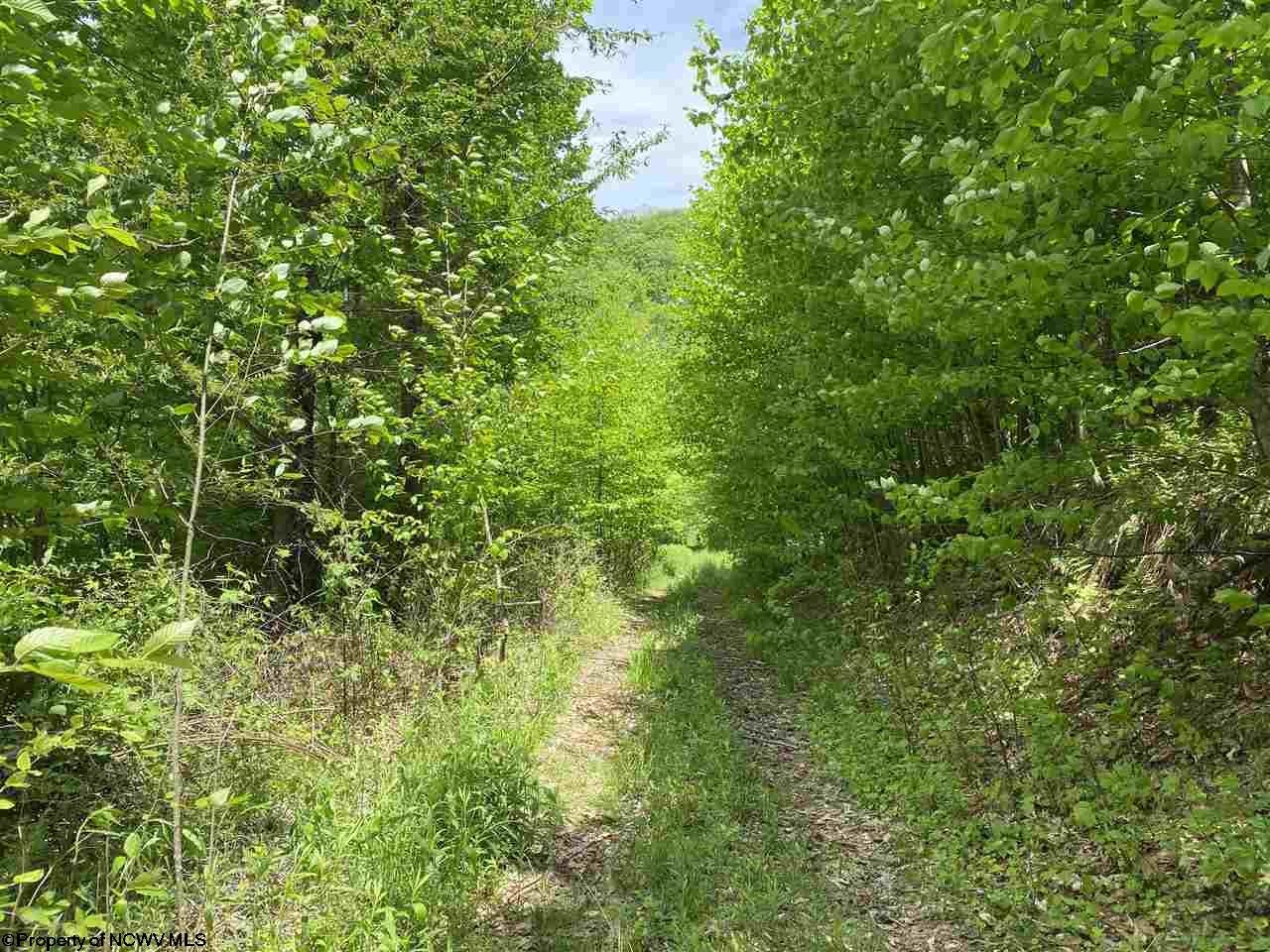 Flat Flat Ridge Davis, WV 26260 - Photo 8 of 11 Gallery Image 8