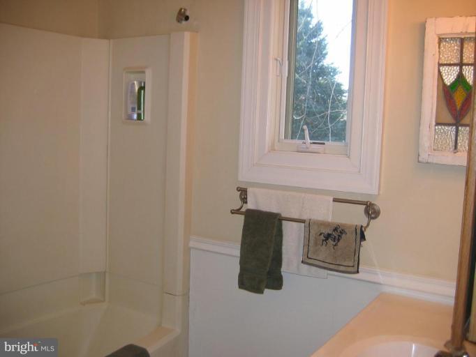 5394 Old Bust Head Road Broad Run, VA 20137 - Photo 18 of 29 Master Bath