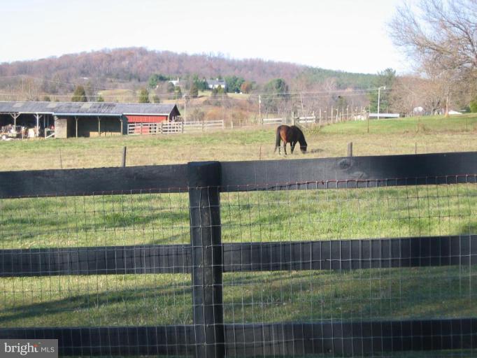 5394 Old Bust Head Road Broad Run, VA 20137 - Photo 29 of 29 Neighbor pasture