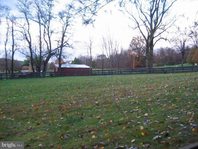 5394 Old Bust Head Road Broad Run, VA 20137 - Photo 5 of 29 Front Pasture