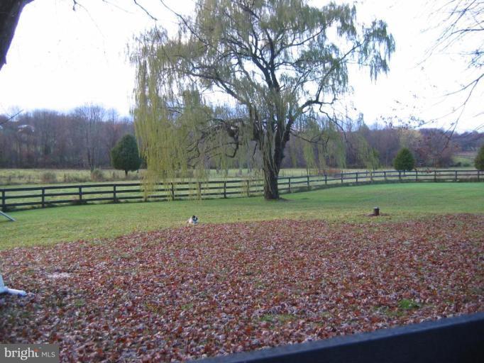 5394 Old Bust Head Road Broad Run, VA 20137 - Photo 6 of 29 Back Pasture