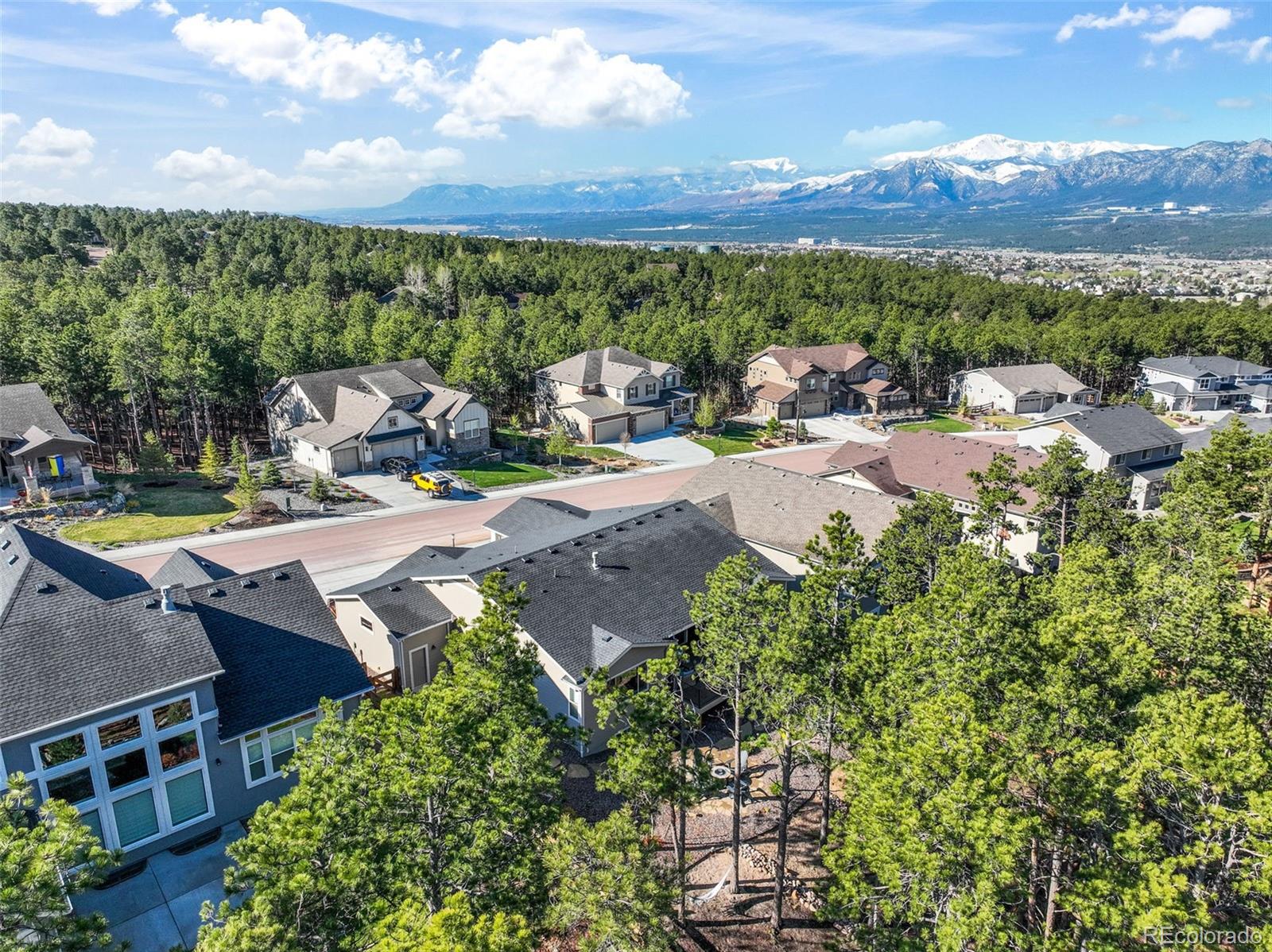 1004 Tree Bark Terrace Monument, CO 80132 - Photo 43 of 50