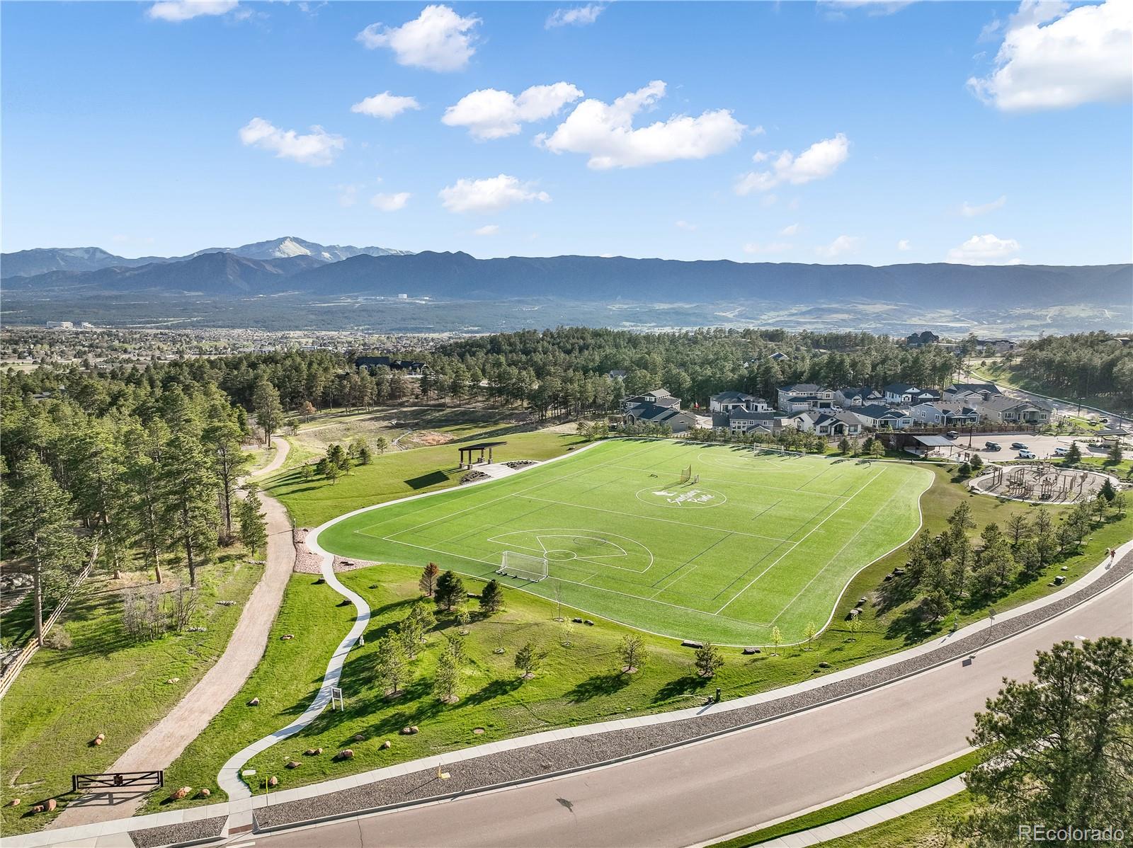 1004 Tree Bark Terrace Monument, CO 80132 - Photo 46 of 50