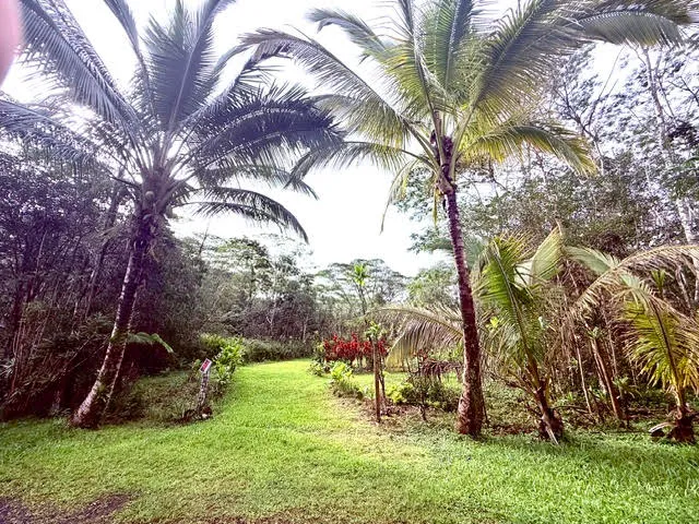 $26,000 | 716 Hilo Road, Pahoa, HI 96778