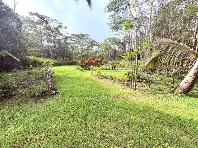 716 Hilo Road Pahoa, HI 96778 - Photo 2 of 9