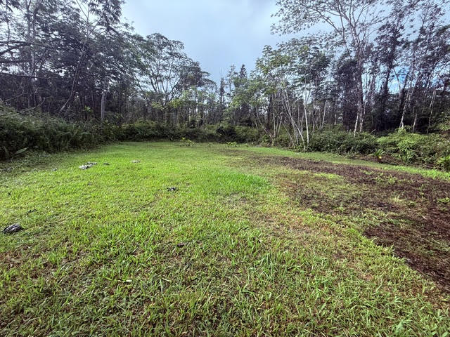 716 Hilo Road Pahoa, HI 96778 - Photo 3 of 9