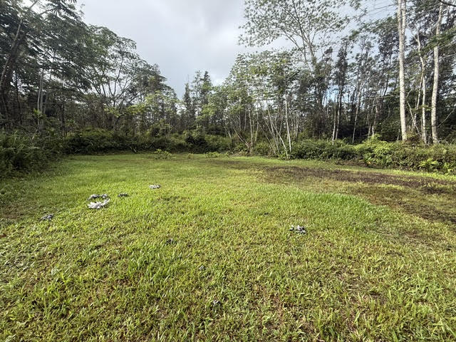 716 Hilo Road Pahoa, HI 96778 - Photo 4 of 9