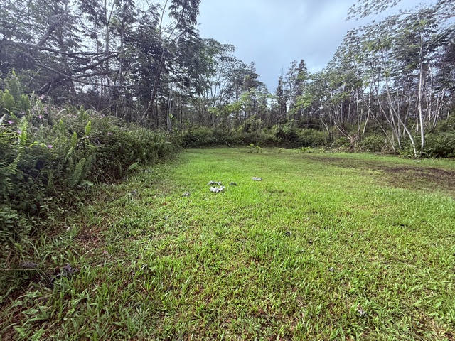 716 Hilo Road Pahoa, HI 96778 - Photo 5 of 9