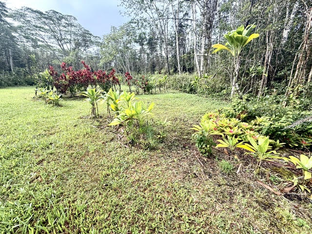 716 Hilo Road Pahoa, HI 96778 - Photo 6 of 9