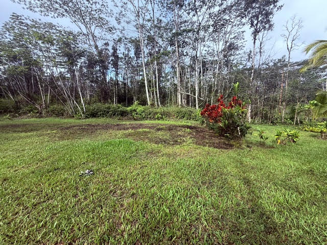 716 Hilo Road Pahoa, HI 96778 - Photo 7 of 9