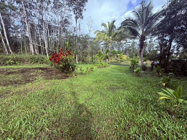 716 Hilo Road Pahoa, HI 96778 - Photo 8 of 9
