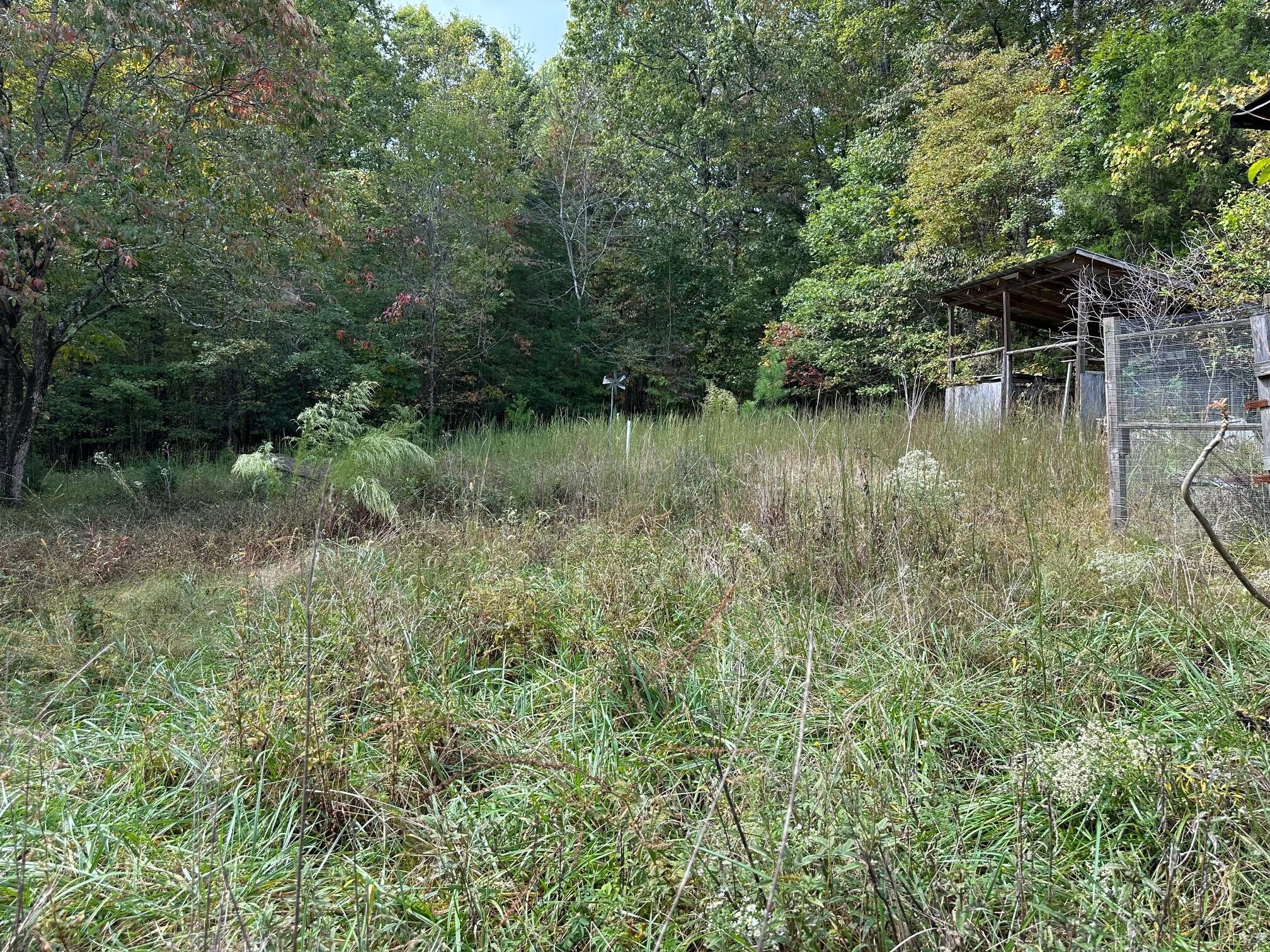 111 Swafford Road Spring City, TN 37381 - Photo 9 of 24 Gallery Image 9
