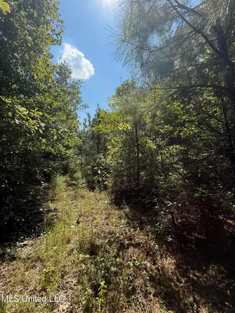 $40,050 | 4920 Wiggins Loop Road, Carthage, MS 39051