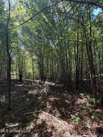 $40,050 | 4920 Wiggins Loop Road, Carthage, MS 39051