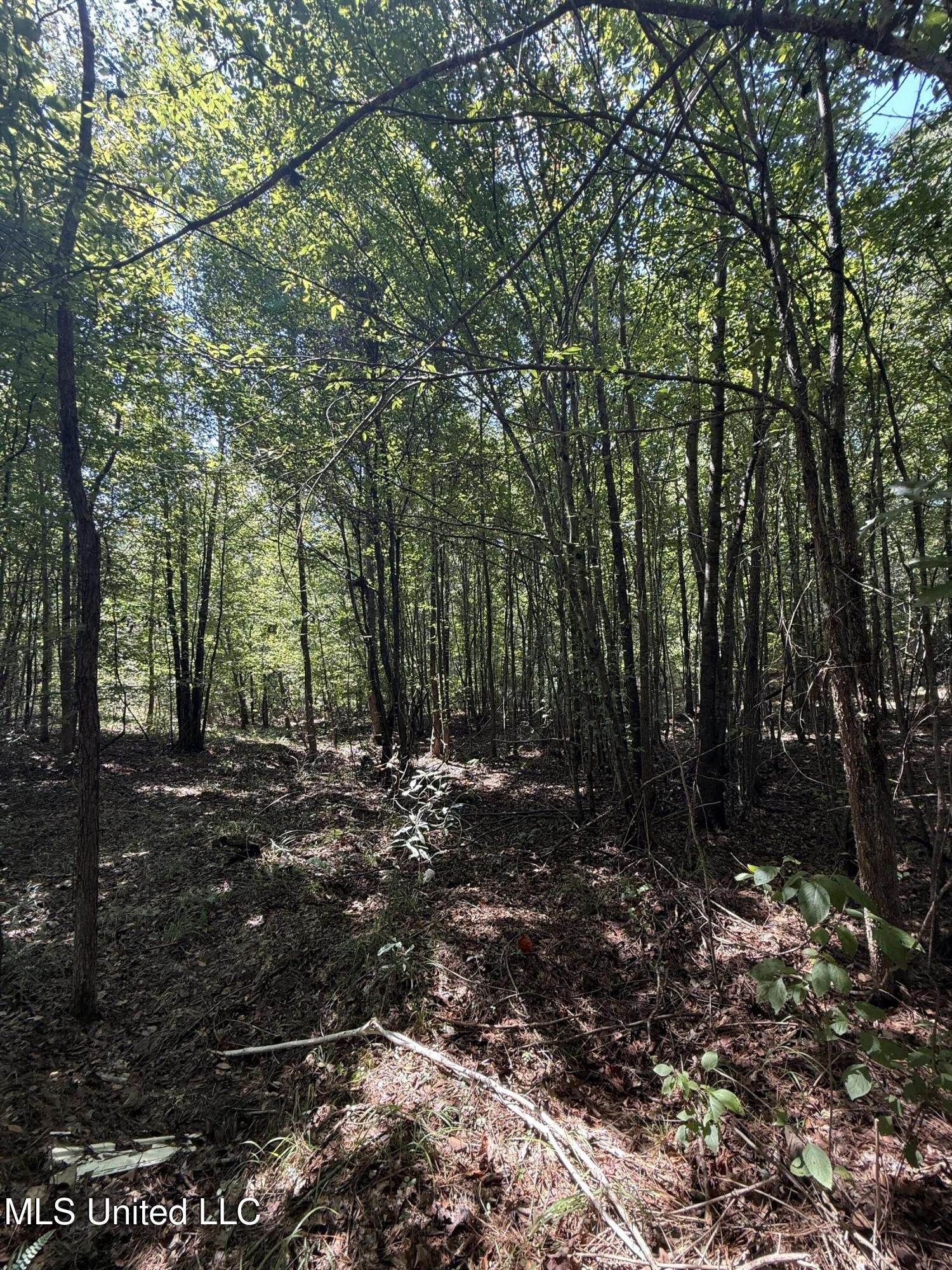 4920 Wiggins Loop Road Carthage, MS 39051 - Photo 2 of 11 IMG_0274