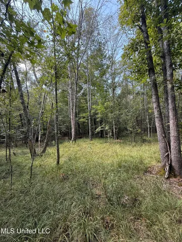 $40,050 | 4920 Wiggins Loop Road, Carthage, MS 39051