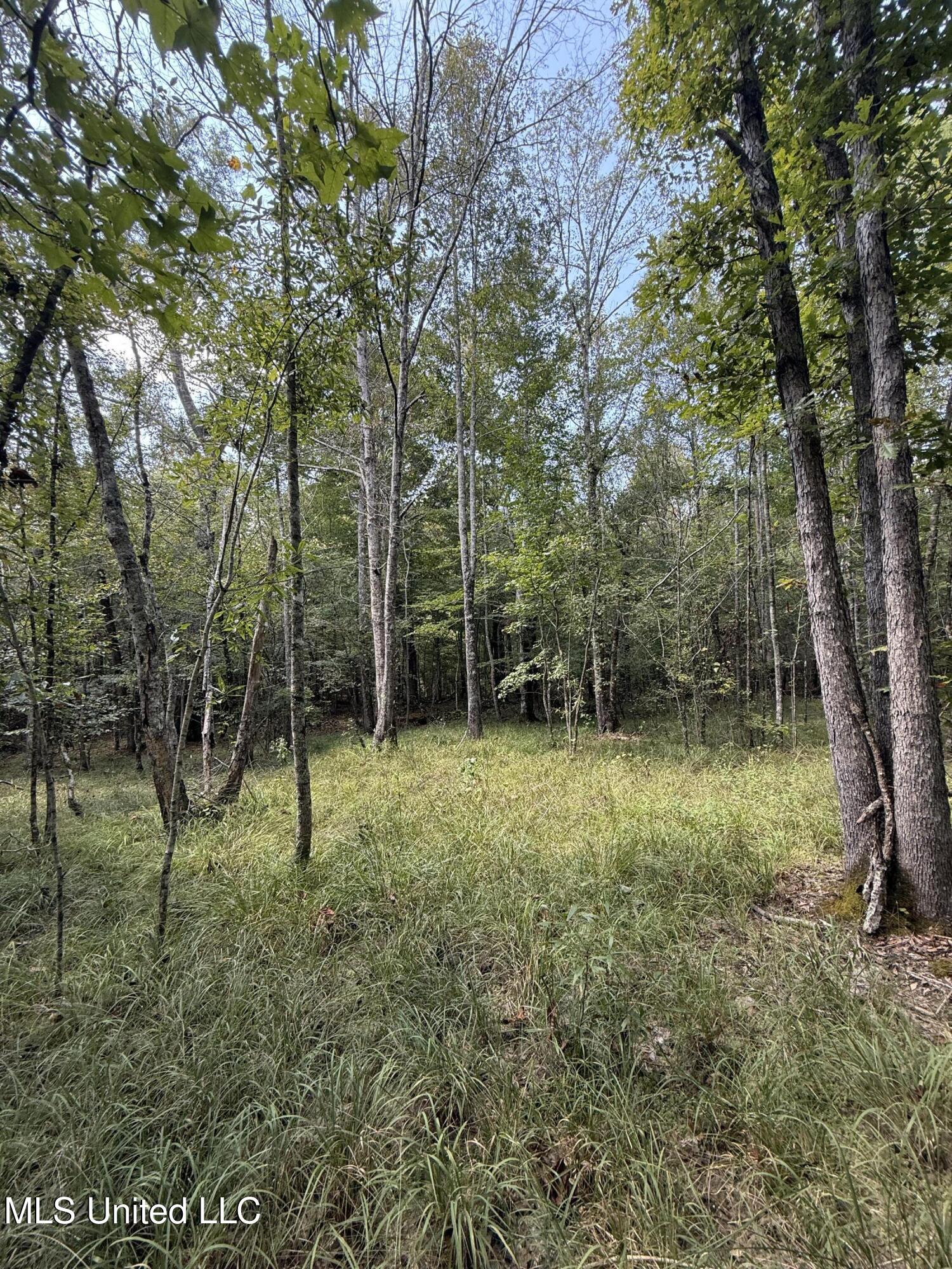 4920 Wiggins Loop Road Carthage, MS 39051 - Photo 5 of 11 IMG_0282