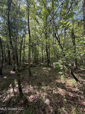 $40,050 | 4920 Wiggins Loop Road, Carthage, MS 39051