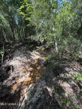 $40,050 | 4920 Wiggins Loop Road, Carthage, MS 39051