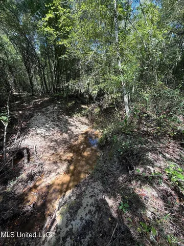 $40,050 | 4920 Wiggins Loop Road, Carthage, MS 39051