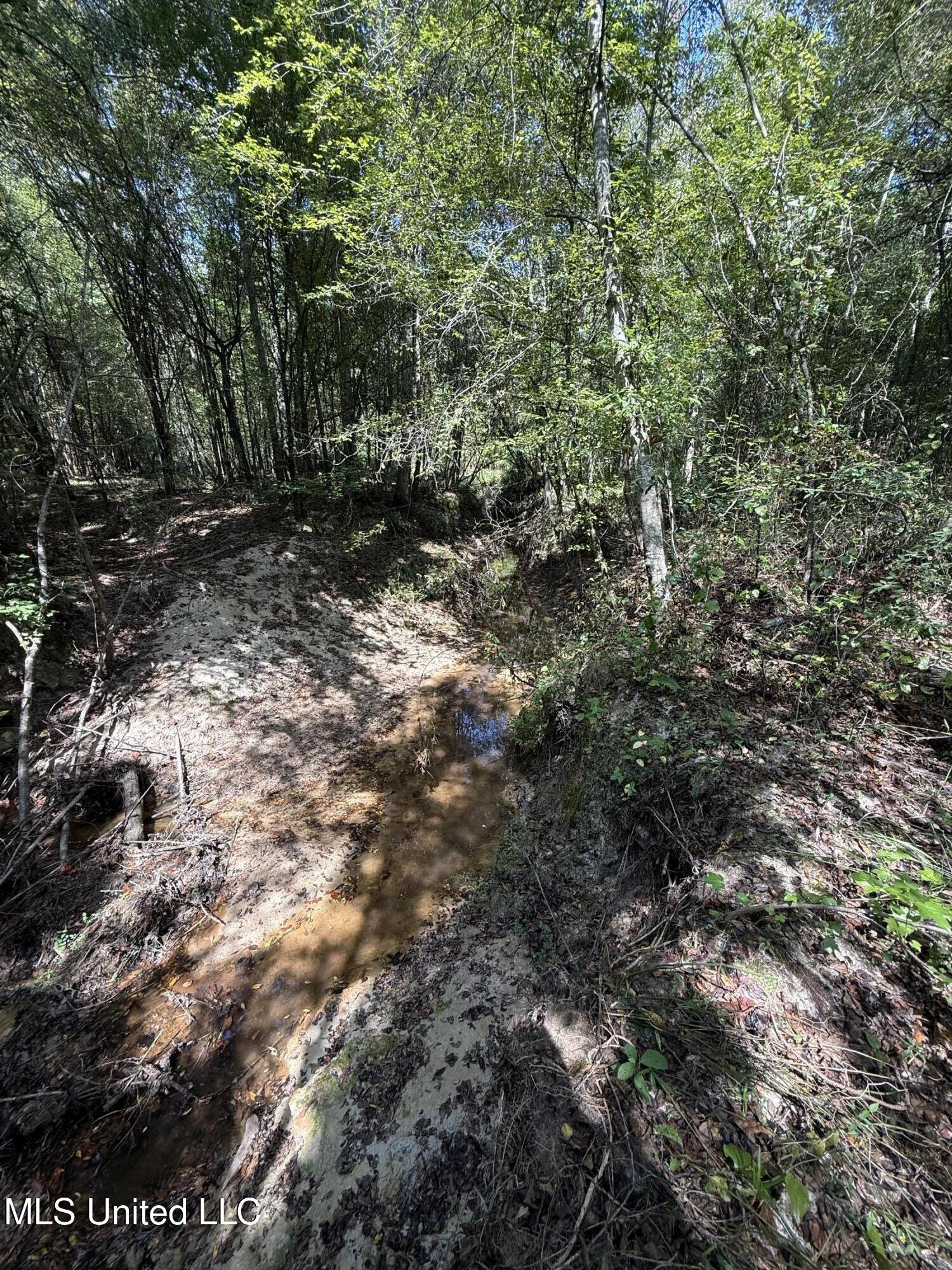 4920 Wiggins Loop Road Carthage, MS 39051 - Photo 7 of 11 IMG_0284