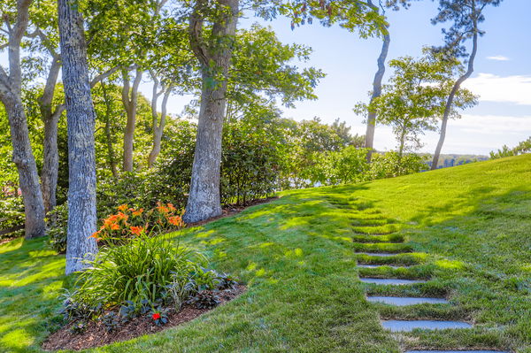 217 Barnes Road Oak Bluffs, MA 02557 - Photo 54 of 60 a view of a garden with an trees