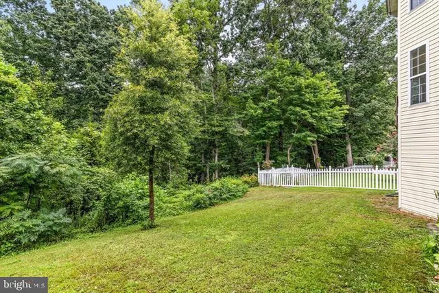 a view of a backyard with a small cabin