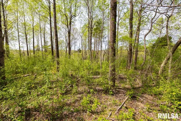 $98,000 | 0 Dutton Chapel Road, Golconda, IL 62938