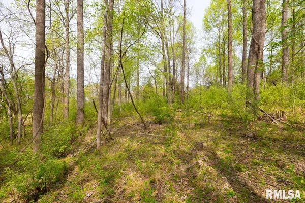 $98,000 | 0 Dutton Chapel Road, Golconda, IL 62938
