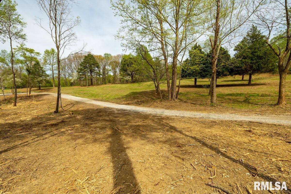 0 Dutton Chapel Road Golconda, IL 62938 - Photo 21 of 31