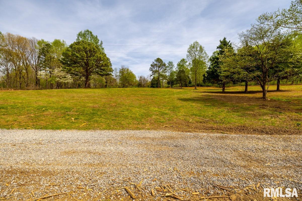 0 Dutton Chapel Road Golconda, IL 62938 - Photo 23 of 31
